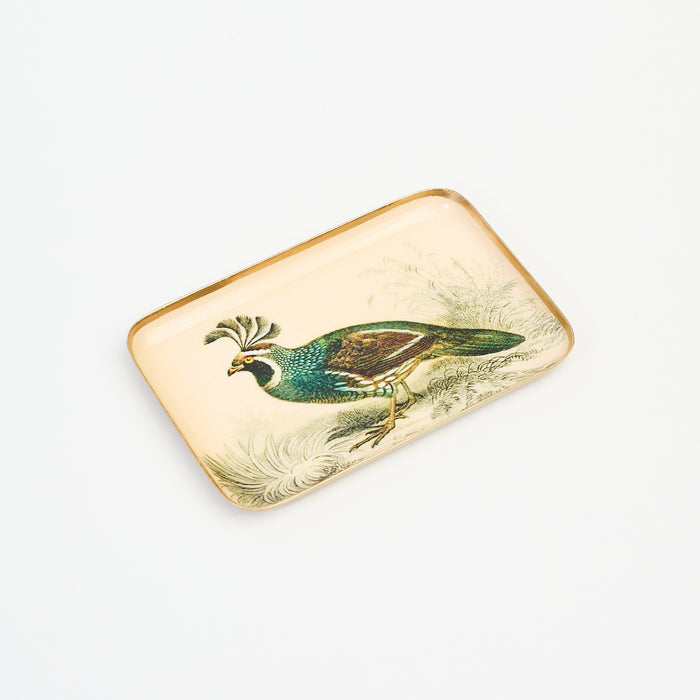 California Quail Trinket Tray 1 on a white background at Addison West
