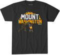 Darnell Washington: Mount Washington Pittsburgh Steelers-Pro Football - YinzerShop