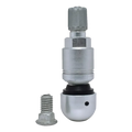Metal tire valve stem with a removable core and separate mounting screw.