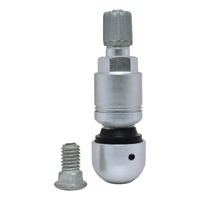 Metal tire valve stem with a removable core and separate mounting screw.