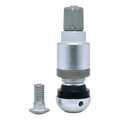 Tire valve stem with a metal screw component beside it.