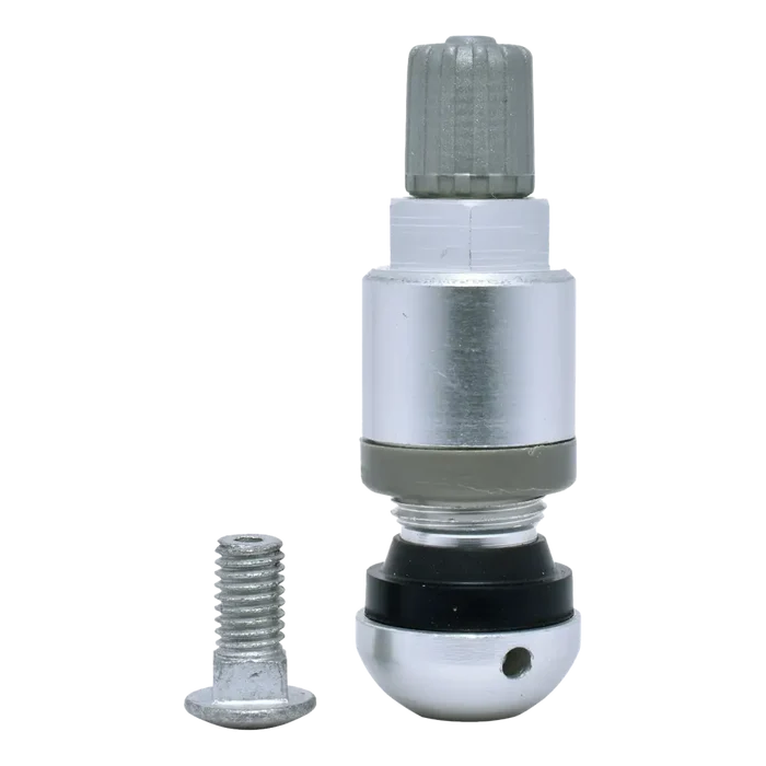 Tire valve stem with a metal screw component beside it.