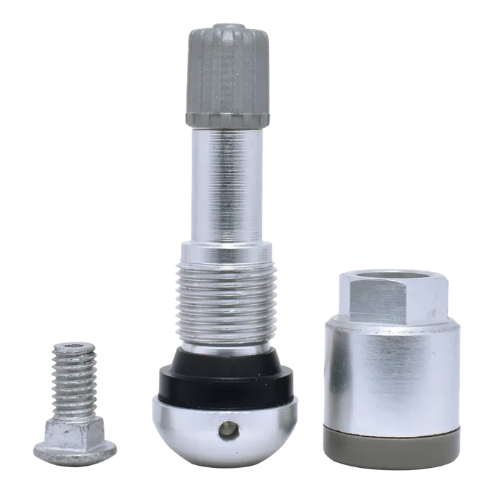 Metallic tire valve stem with accompanying components.