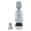 Tire valve stem with a metal cap and separate mounting bolt.