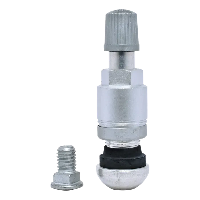 Tire valve stem with a metal cap and separate mounting bolt.