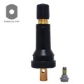 Tubular black and gold tire valve stem with a removable cap.