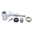 Tire pressure monitoring system (TPMS) sensor replacement kit with various metal and rubber components.