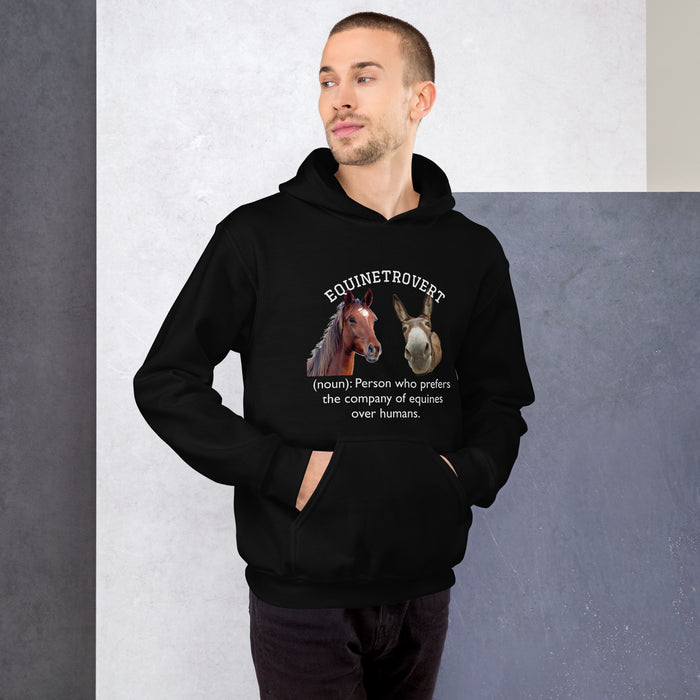Equinetrovert - Unisex Hoodie