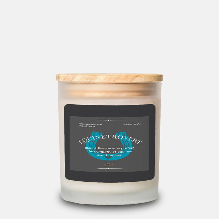 Equinetrovert Candle Frosted Glass (Hand Poured 11 oz)