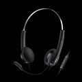 Genius Computer Technology HS-220U headphones/headset Wired Head-band Office/Call center USB Type-C / USB Type-A Black