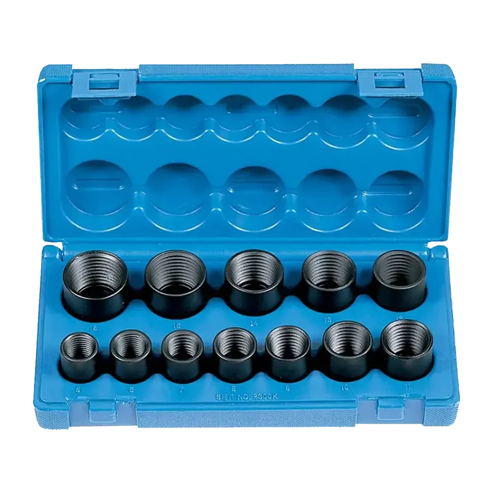 Threaded pipe fitting set in a blue case for GP 1/2 Dr Damage Nut Remover Set 12 Pcs