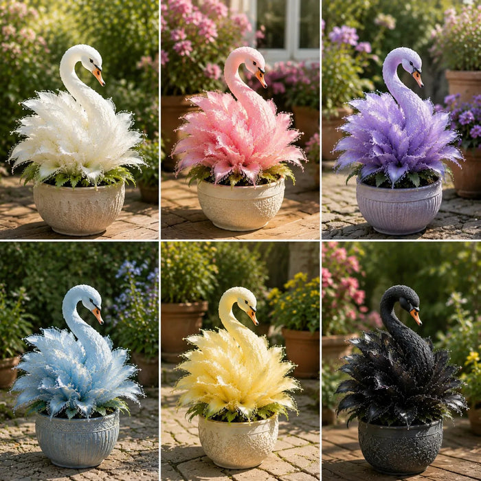 🔥¡Grandes descuentos!🦢 Bulbos raros de flor de cisne: cultiva tu propio jardín de ensueño con forma de lago de cisnes.-ES
