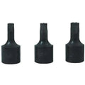Brake Service - Lisle Brake Caliper Torx Bit Set