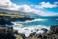Maui Coast  Paint by Numbers Kit