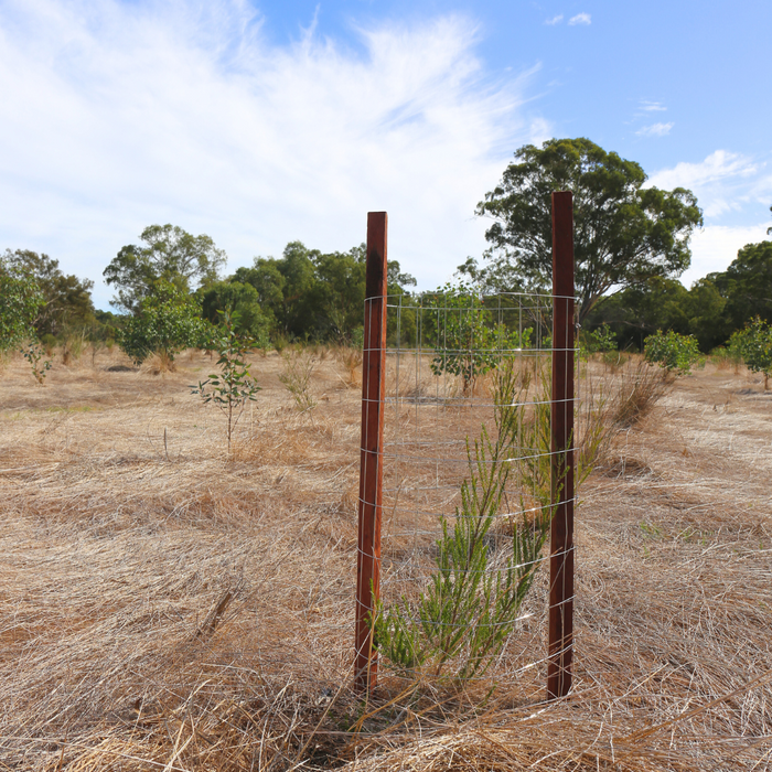 Mesh Kangaroo/Wallaby Tree Guard - 20/pack