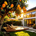 🥭 Plántulas de mango aterciopeladas, dulces y jugosas: ¡siente el sabor del trópico en tu propia casa! 🌴-ES