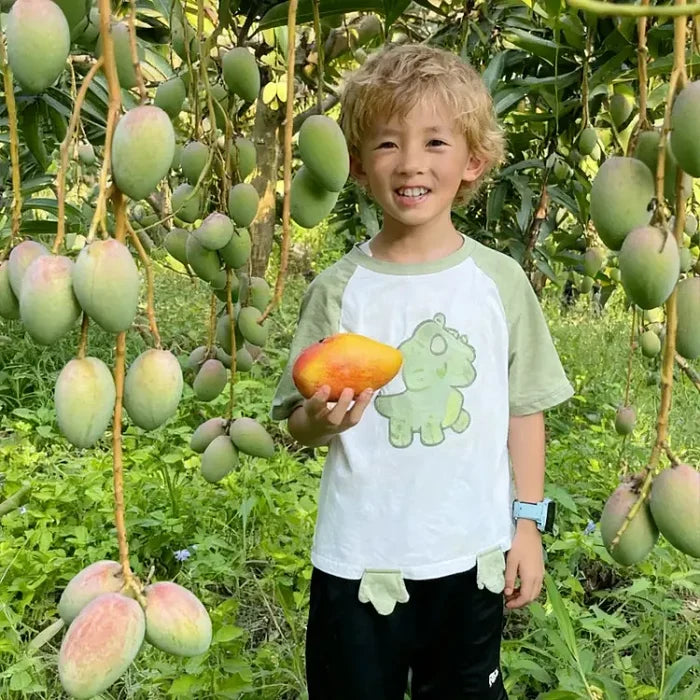 🥭 Plántulas de mango aterciopeladas, dulces y jugosas: ¡siente el sabor del trópico en tu propia casa! 🌴-ES
