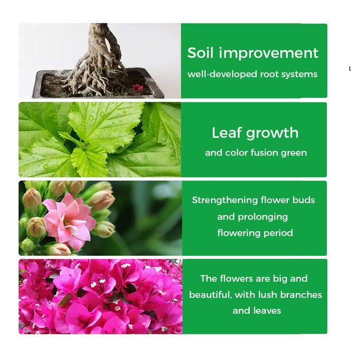 🌱Polvo potenciador de floración | ¡Crecimiento rápido de las raíces + flores más grandes!🌸-ES