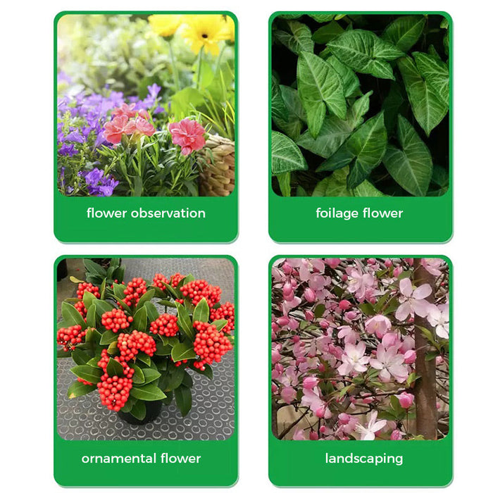 🌱Polvo potenciador de floración | ¡Crecimiento rápido de las raíces + flores más grandes!🌸-ES