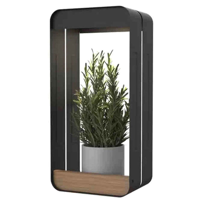 Solar Wall Light & Planter