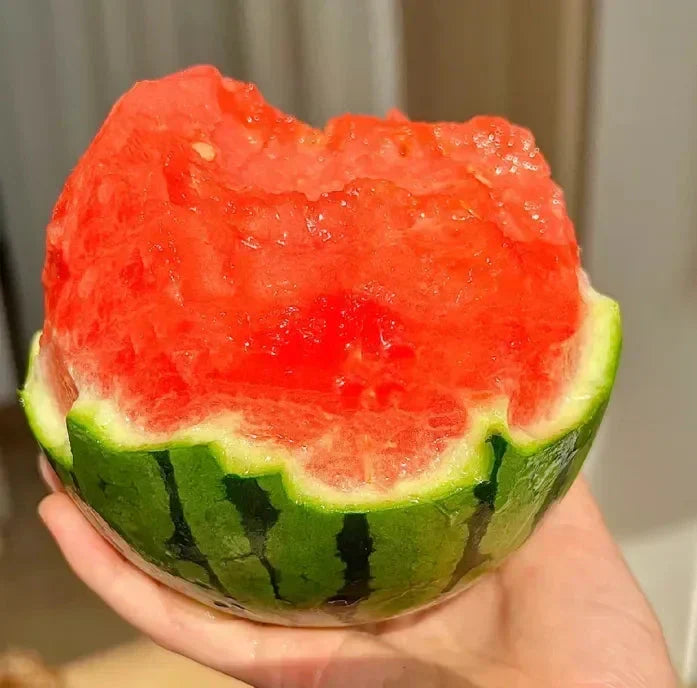 🍉Wczesnowiosenny Czerwony Jadeit – słodki arbuz, który zachwyci całą rodzinę-ES