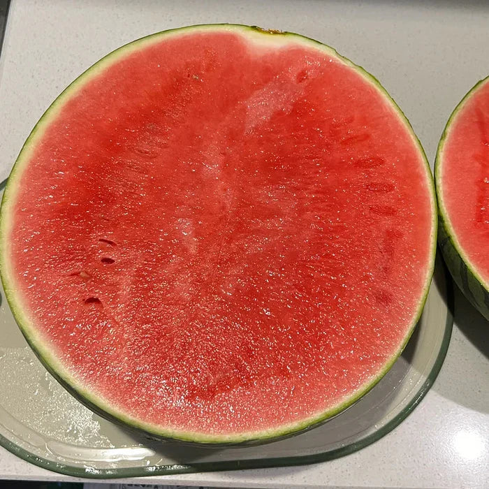 🍉Wczesnowiosenny Czerwony Jadeit – słodki arbuz, który zachwyci całą rodzinę-ES