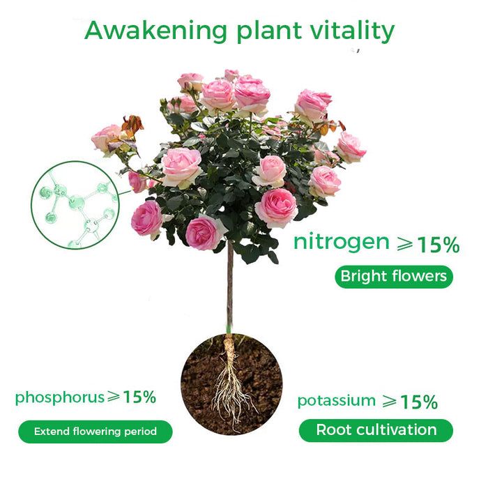 🌱Žydėjimą skatinantys milteliai | Greitesnis šaknų augimas + didesni žiedai!🌸-LT